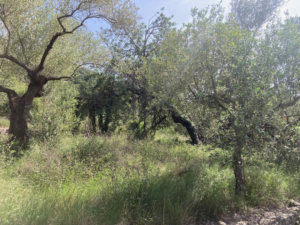 Landejendom i El Perello, Tarragona - foto 5